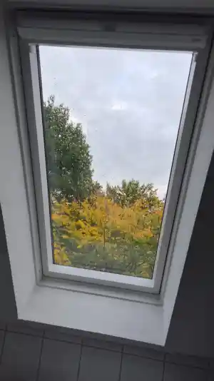 reinigungsfirma_bad-zwischenahn_MH_Glas_-_und_Gebäudereinigung_6.jpg