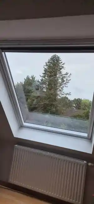 reinigungsfirma_bad-zwischenahn_MH_Glas_-_und_Gebäudereinigung_4.jpg