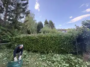gartner_neunkirchen-saar_A&M&F_Gartenservice_7.jpg