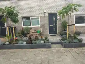 hovenier_barendrecht_Floreon_B.V._2.jpg