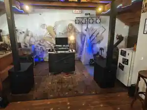 dj_rosenau_Der_Partymusikexpress_4.jpg