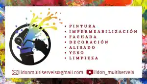 pintor_vinar%C3%B2s_Lidon_Multiserveis__3.jpg