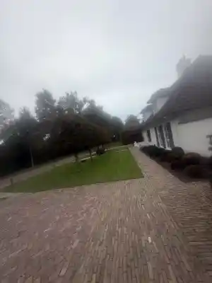 hovenier_tilburg_Teeuwen_Tuinen_Verzorging_5.jpg