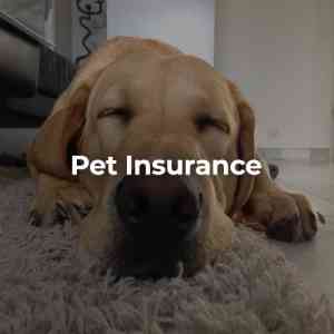 finanzberater_geilenkirchen_Ellen_Culpeck_Insurance_Broker_GmbH_4.jpg