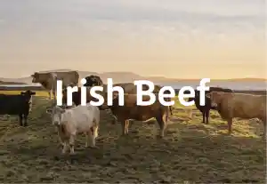 Verbetering van de SEO-resultaten van IrishBeef.nl.jpg