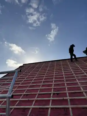 dakdekker_rosmalen_dakbeheer_hamminga_7.jpg