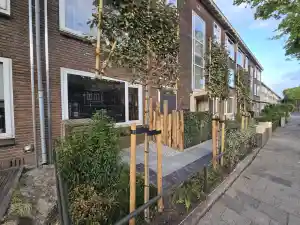 dakkapellen_rijswijk_Bosman_Bouwt,_tuinhout_en_schilderwerken__2.jpg