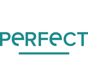 dakkapellen_drunen_Perfect_Dakkapellen_2.jpg