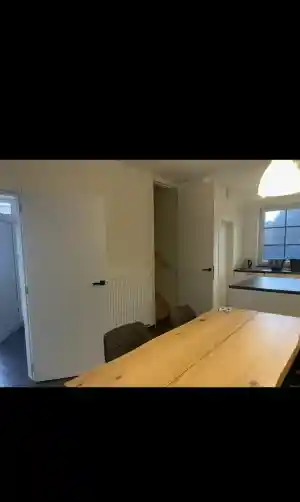 schilder_genk_MAGNOLIA_Homepainting_2.jpg