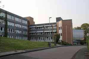 steuerberater_niederkassel_BWLC_Braschoß_&_Coll._Partnerschaft_mbB_Steuerberatungsgesellschaft_3.jpg