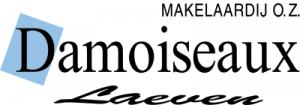 makelaar_veldhoven_Holding_Damoiseaux-Laeven_B.V._3.jpg