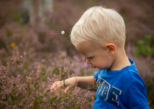 trouwfotograaf_dongen_Simone_Haneveer_Fotografie_5.jpg