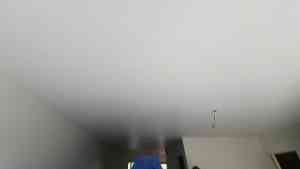 stukadoor_koudekerke_We_Stucen_Door_5.jpg
