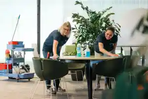 gevelreiniging_roden_Schoonmaakbedrijf_Argo_B.V._3.jpg