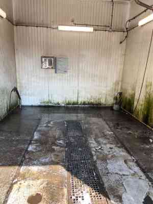 gevelreiniging_nootdorp_Pro_Clean_Service_4.jpg