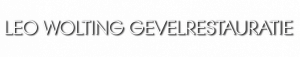 gevelreiniging_leiden_Leo_Wolting_Gevelrestauratie_2.jpg