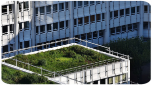 dachdecker_gelsenkirchen_Hojnacki_&_Resing_GmbH_5.jpg