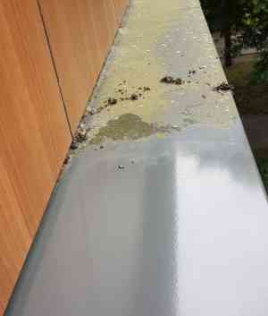 gevelreiniging_eindhoven_J_&_S_Bedrijfsdiensten_BV_4.jpg