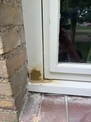 Pasta Reparaties .jpg