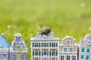 makelaar_steenwijk_Makelaardij_Middelbrink_6.jpg