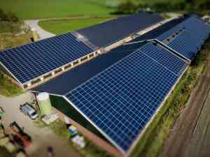 zonnepanelen_riel_mijn_Zonneveld_B.V._5.jpg
