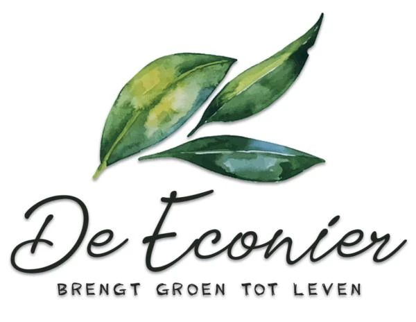 De Econier.jpg