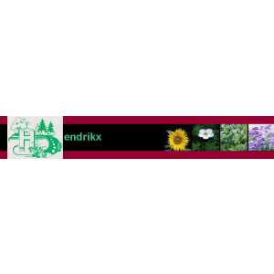 Hendrikx / Marc.jpg