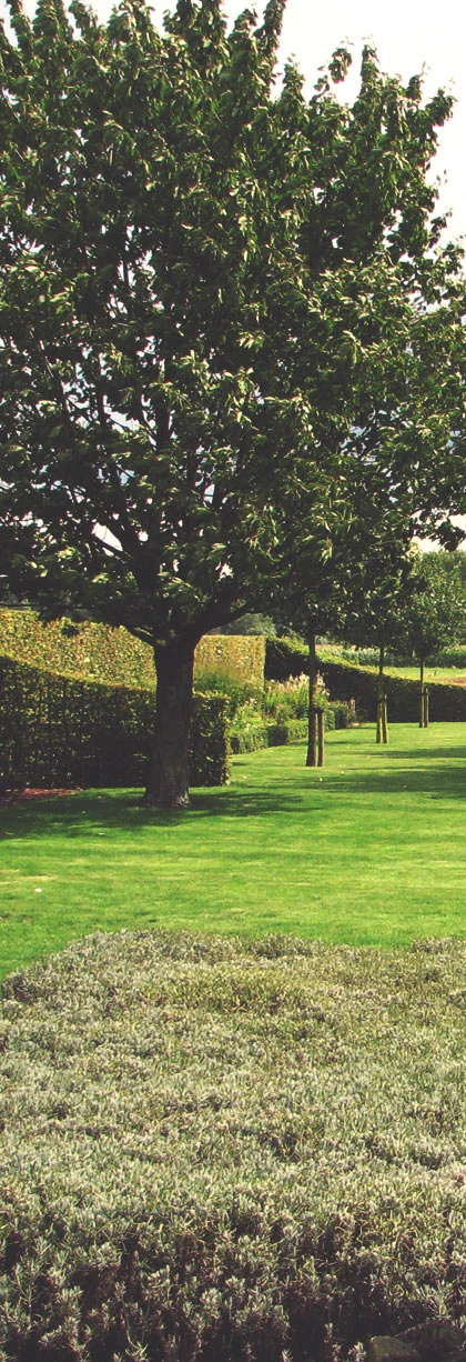 Groep Groen Bvba (Groep Groen BV).jpg