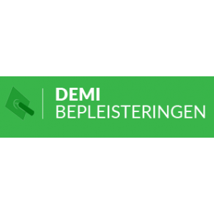 Demi Bepleisteringen.jpg