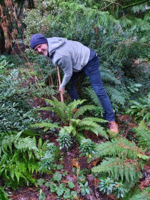 Van der Kolk tuin en ontwerp.jpg