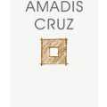Amadis Cruz Building Designs & Interiors.jpg