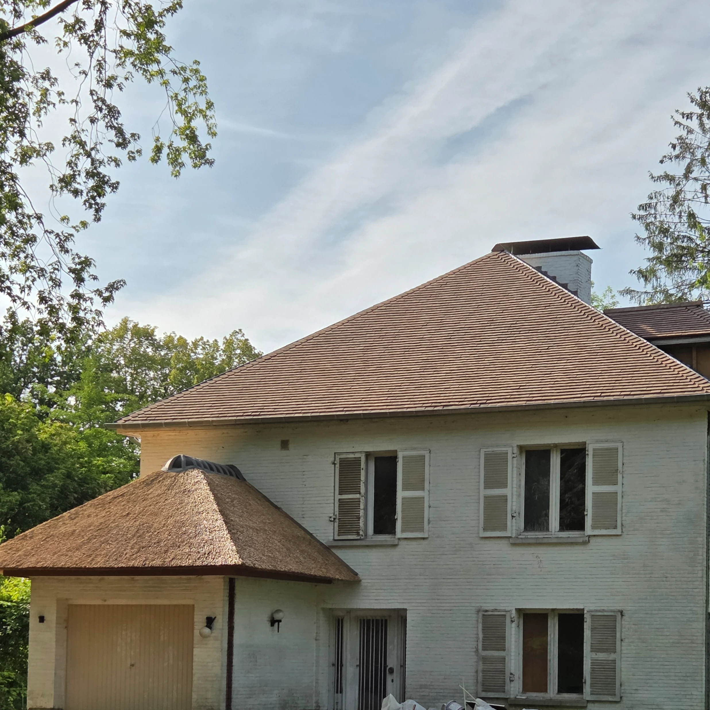 Rietconcept bv - Antwerp Roof Expert BV.jpg