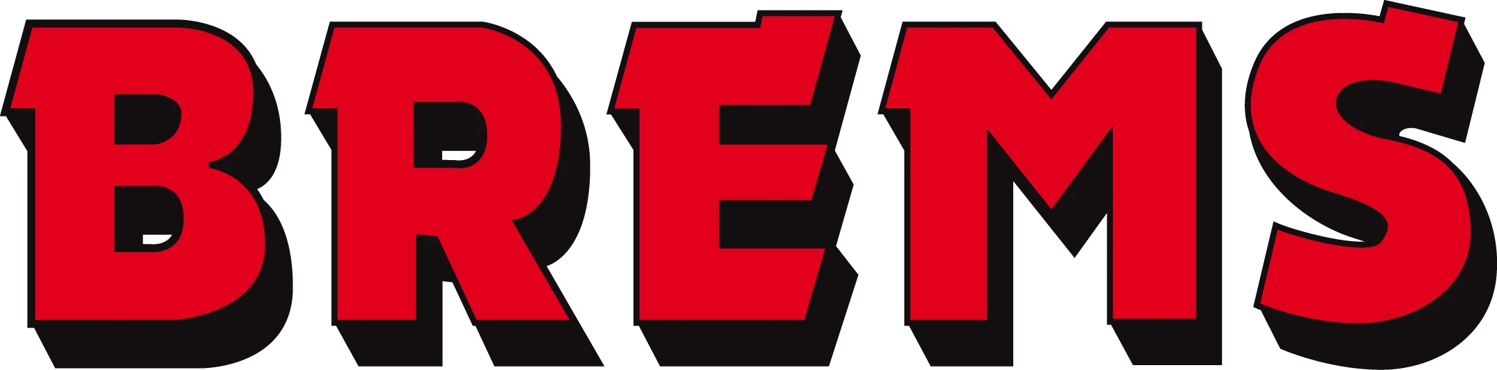 Brems Dakwerken NV.jpg