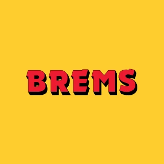 Brems Dakwerken NV.jpg