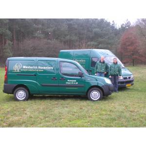 Hoveniersbedrijf E. Westerink Vof..jpg