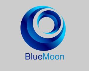 Blue Moon Finance.jpg