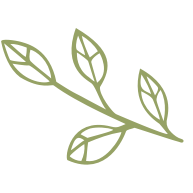 Psycholoog Gouda - Sandra de Graaf.jpg