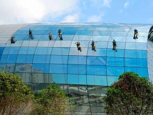 Bizkailan Limpiezas y Jardineria Bilbao.jpg