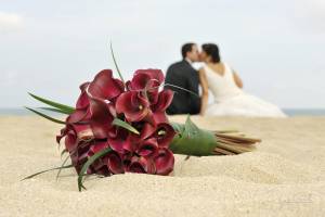 GABARRELLA FOTÒGRAF.jpg