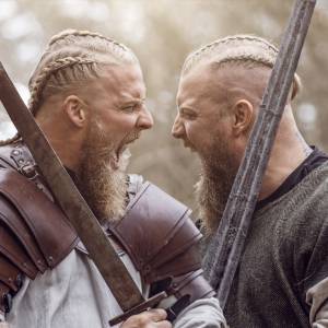 Viking Brothers.jpg