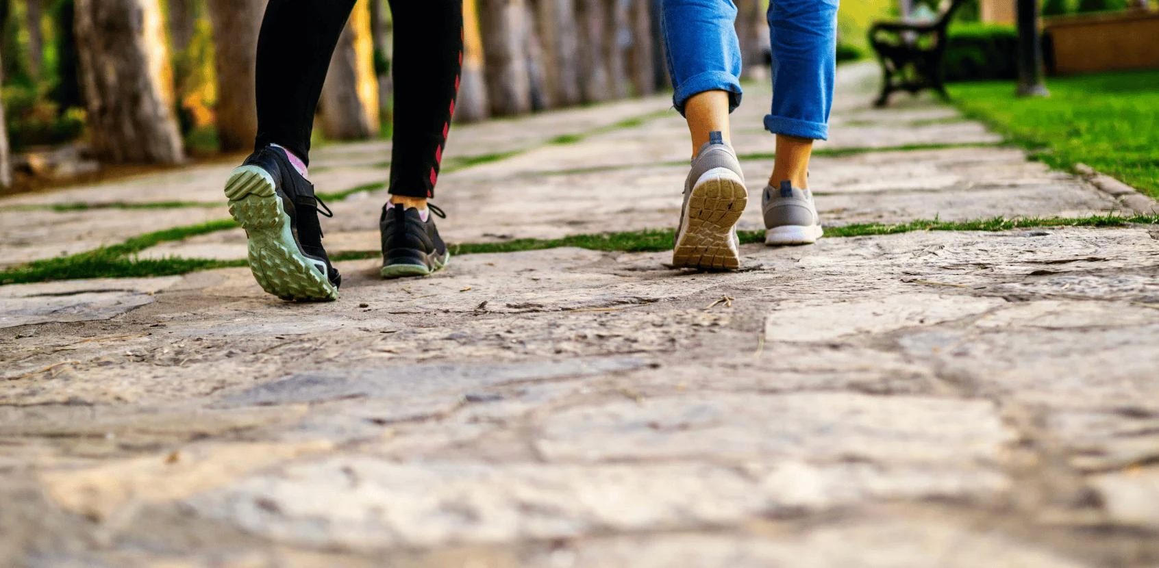 Sport & Wandelvasten Coach.jpg