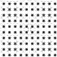 Tim Sport & Lifestyle.jpg