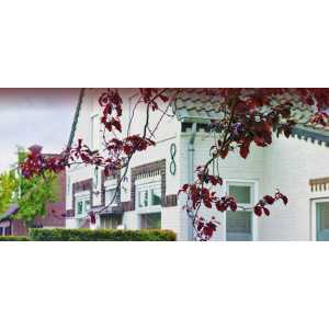 Knegtmans Scheidingsadvocaten & Mediators. Bergeijk l Bladel l Valkenswaard .jpg