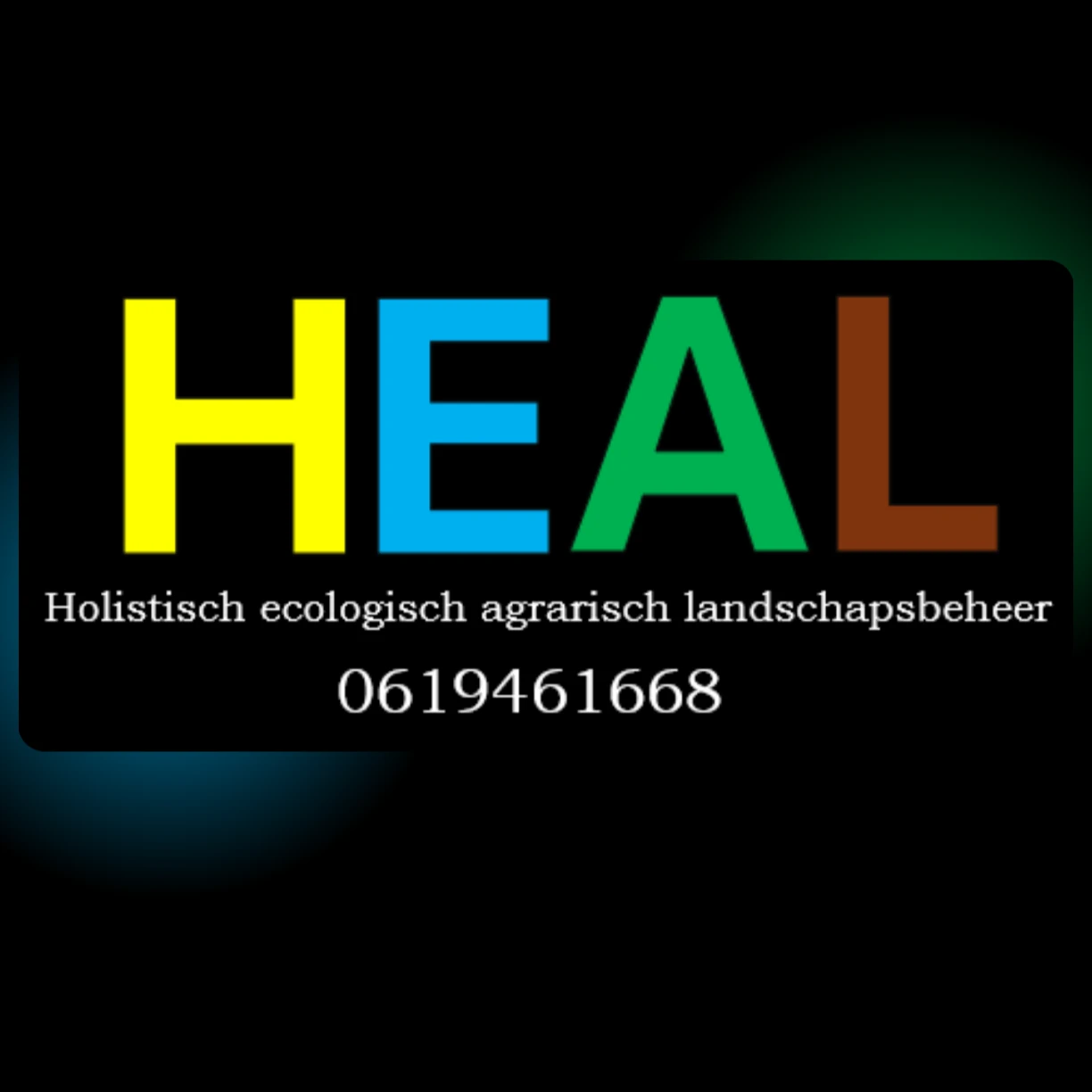 Heal.jpg