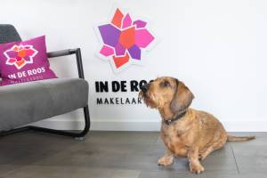 In de Roos Makelaardij B.V..jpg