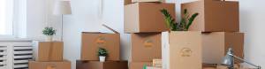Move For You GbR - Ihr Partner für Umzug, Transport & Montage.jpg