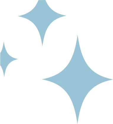 City Cleaner B.V..jpg