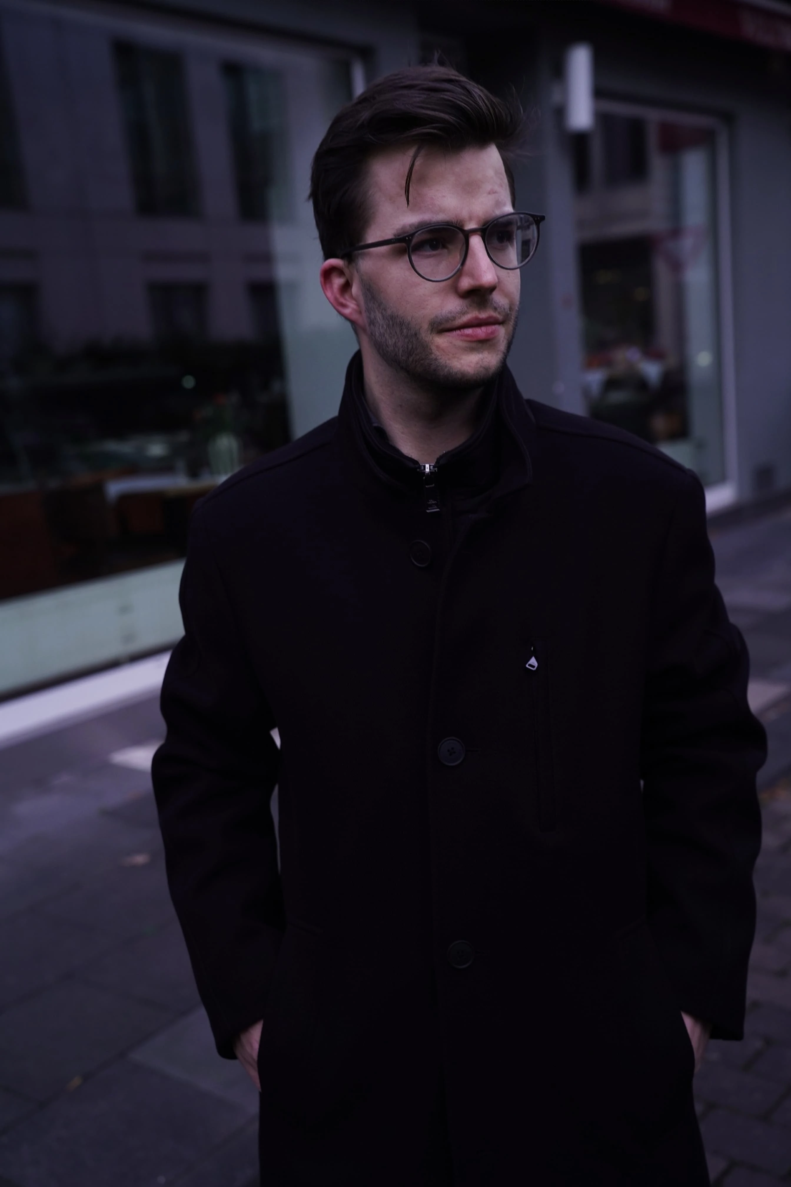 Steiner Consulting .jpg