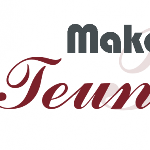 Makelaardij Teun Bosma.jpg