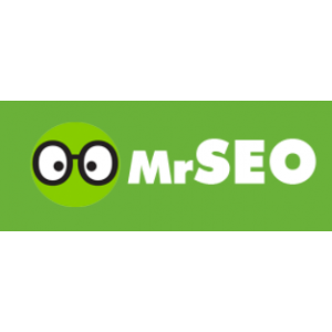 Mr SEO.jpg